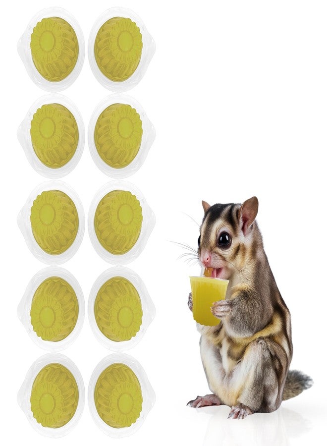 Snout and Shell Beetle Jelly for Exotic Pets - Nutrient-Rich Feeding Gel for Beetles, Insects, and Small Reptiles - Easy to Use, Mess-Free - Banana - Image 1